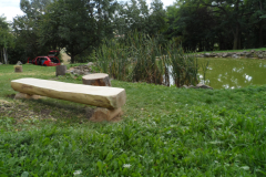 SAM_0698